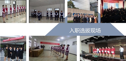 ʯfӢеȌI(y)W(xu)Ӯ(w)I(y)Æ᣿